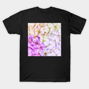 beautiful colorful apple blossoms T-Shirt